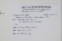 鷗蔓藏品圖，第2張