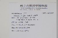 安旱草藏品圖，第2張