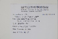 安旱草藏品圖，第2張