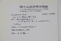 草野氏冬青藏品圖，第2張