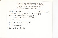 蔓澤蘭藏品圖，第2張