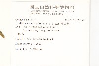 蔓澤蘭藏品圖，第2張