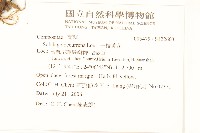 一枝黃花藏品圖，第2張