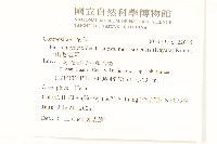 玉山毛蓮菜藏品圖，第2張