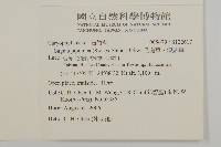 瓜槌草、漆姑草藏品圖，第2張