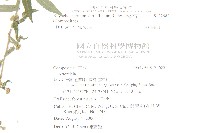 阿拉伯婆婆納、臺北水苦賈藏品圖，第2張