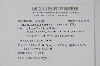 水鴨腳藏品圖，第2張