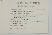 佩羅特木藏品圖，第2張