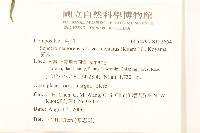 黃菀藏品圖，第2張