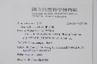 野莧菜藏品圖，第2張