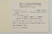 玉山卷耳藏品圖，第2張