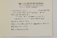 南湖大山蠅子草藏品圖，第2張