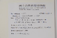 玉山小蘗藏品圖，第2張