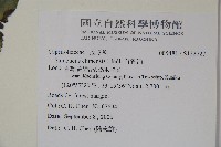 冇骨消藏品圖，第2張