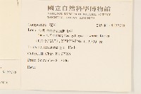 矮菊藏品圖，第2張