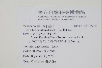 紫花鳳仙花藏品圖，第2張