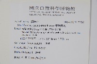 臺灣馬藍藏品圖，第2張