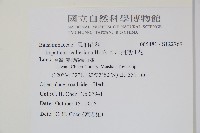 非洲鳳仙花藏品圖，第2張