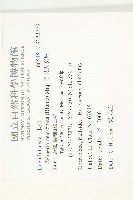 黑果馬交兒藏品圖，第2張