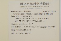 草珊瑚、紅果金粟蘭藏品圖，第2張