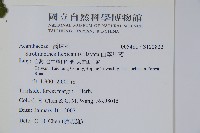 臺灣馬藍藏品圖，第2張