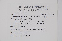 小錦蘭藏品圖，第2張