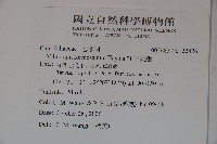 紅子莢迷藏品圖，第2張