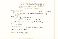 一枝黃花藏品圖，第2張