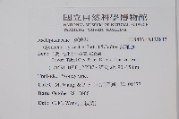 武靴藤藏品圖，第2張