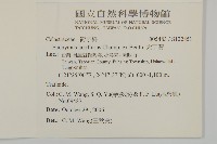 大丁黃藏品圖，第2張