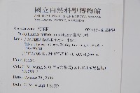 臺灣馬藍藏品圖，第2張