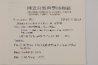 毛將軍藏品圖，第2張