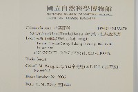 草珊瑚、紅果金粟蘭藏品圖，第2張