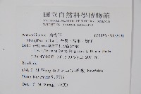 芒果、檬果、檨仔藏品圖，第2張