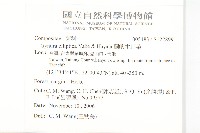 蘭嶼木耳菜藏品圖，第2張