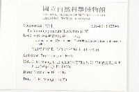 山菊藏品圖，第2張