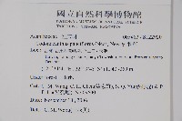 針刺草藏品圖，第2張