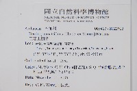 三菱果樹參藏品圖，第2張