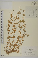 登錄號:S122979藏品圖，第1張