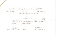 登錄號:S122997藏品圖，第2張