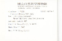 焊菜藏品圖，第2張