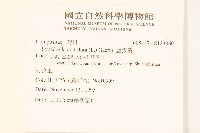 金腰箭藏品圖，第2張