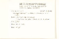 一枝黃花藏品圖，第2張