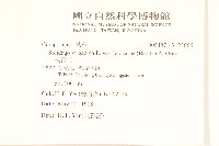 一枝黃花藏品圖，第2張