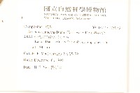 蔓黃菀藏品圖，第2張