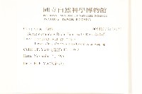 蔓黃菀藏品圖，第2張