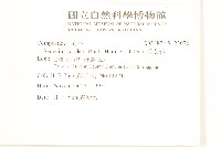 蔓黃菀藏品圖，第2張