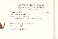 黃菀藏品圖，第2張