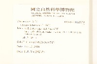 黃菀藏品圖，第2張