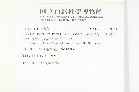 蒼耳藏品圖，第2張